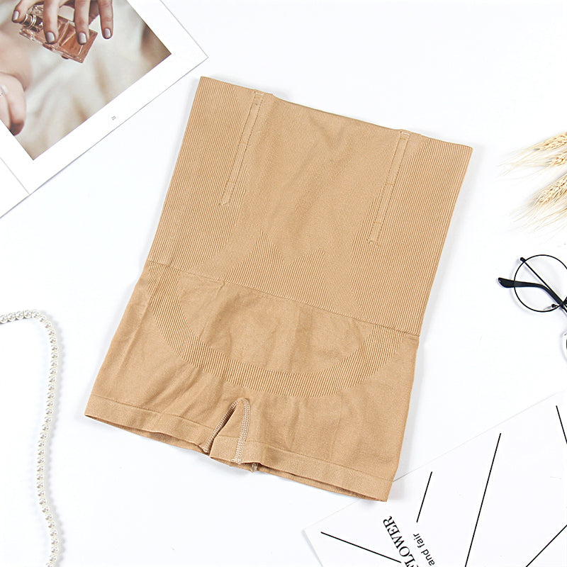 Briefs Radiance Bodysuit Shaper Tummy Control Slimming Panties